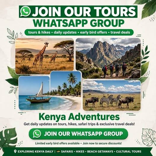 Join Elyzza Tours WhatsApp community